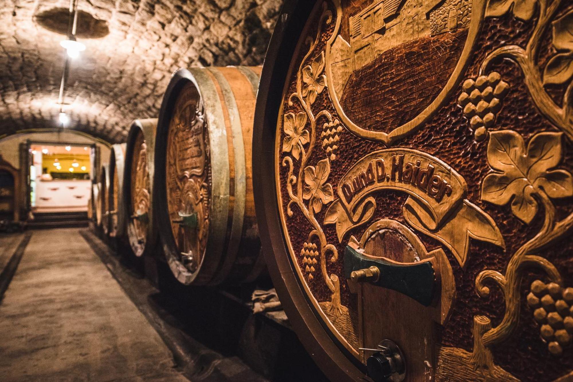 Weingut Gaestehaus D&D Haider Йойс Екстериор снимка