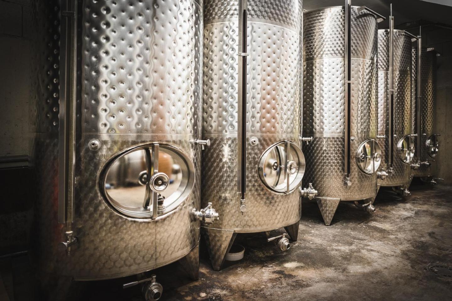 Weingut Gaestehaus D&D Haider Йойс Екстериор снимка