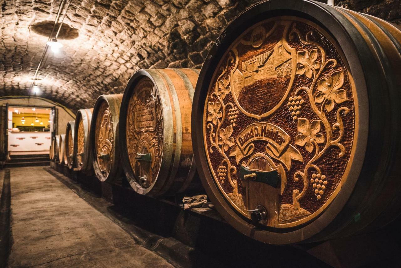 Weingut Gaestehaus D&D Haider Йойс Екстериор снимка