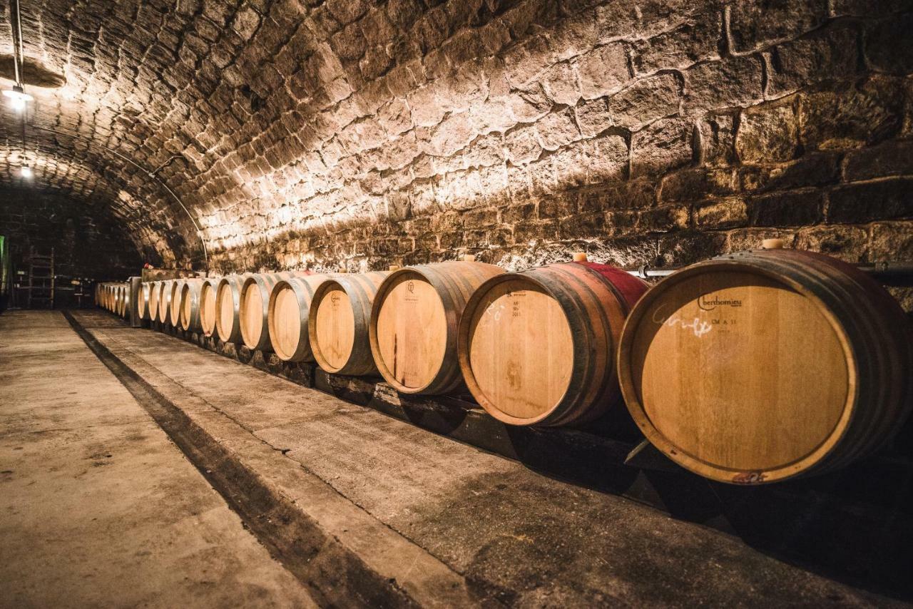 Weingut Gaestehaus D&D Haider Йойс Екстериор снимка